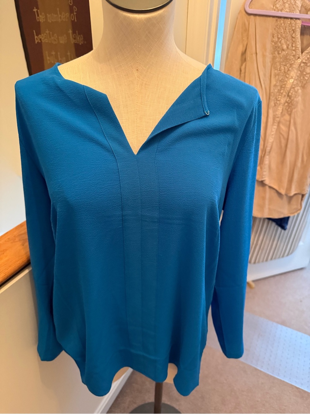 Rose & Olive Teal Blue V-Neck Long-Sleeve Blouse